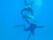 55023_396a69989b8bcfde0dbc4ebf71bb7d64.jpg