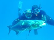 thumb_IMG_0178_1024.jpg