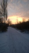 WP_20151231_006.jpg
