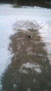 WP_20151231_002.jpg