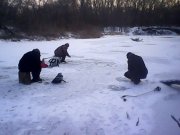 IMG0372A.jpg