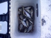 IMG0373A.jpg