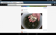 Screenshot_2015-11-19-15-23-56.png