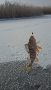 20160102_111347.jpg
