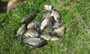 20150824_141515.jpg