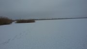 20160106_093626[1].jpg