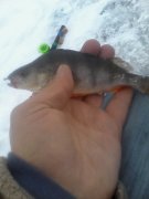 IMG_20160107_111419.jpg