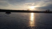 IMG_20160109_083745.jpg