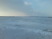 P10-01-16_11.41.jpg