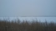 20160111_074252[1].jpg