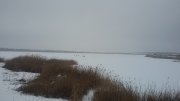 20160111_121906[1].jpg