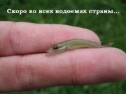eZl9UluHqOc.jpg