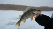 20160117_101551[1].jpg