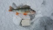 20160117_101621[1].jpg
