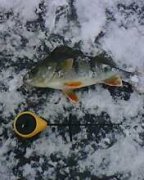 IMG0426A.jpg