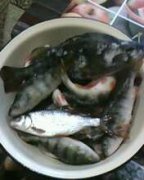 IMG0428A.jpg
