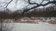 DSC_0759.JPG