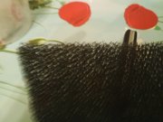 160119_184904.jpg