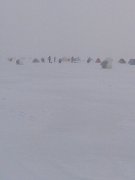IMG_20160123_092220.jpg