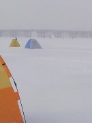 IMG_20160123_092259.jpg