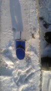 IMG_20160123_153130.jpg