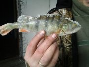 20160124_142205.jpg