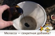 a3258.jpg