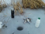 P01-02-16_13.10.jpg