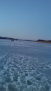 20160130_070546[1].jpg