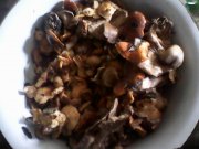IMG0429A.jpg