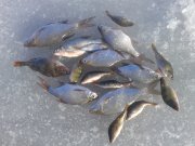 20160207_142203.jpg