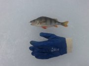 20160206_121400.jpg