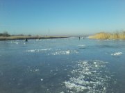P08-02-16_08.15.jpg
