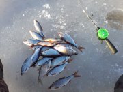 P08-02-16_15.38.jpg