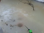 P09-02-16_09.26.jpg