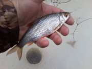 P09-02-16_11.59.jpg