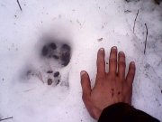 IMG0435A.jpg