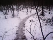 IMG0434A.jpg