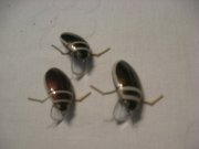 IMG_2406.JPG