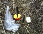 IMG0449A.jpg