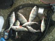 20160221_164431.jpg