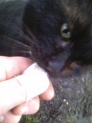 IMG_20160304_143300.jpg