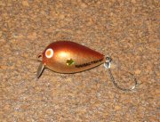 IMG_4244.jpg