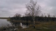 DSC_0002.JPG
