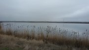 20160305_111203[1].jpg