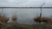20160305_104012[1].jpg