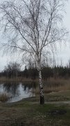 20160305_111226[1].jpg