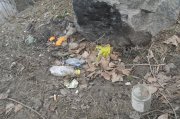 _3074587.JPG