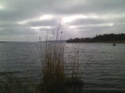 IMG_20160307_093203.jpg