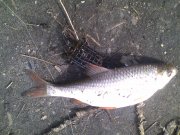 IMG_20160308_123826.jpg